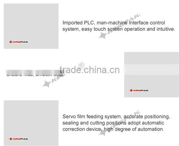 DXDCH-10C Automatic Price Tea Bag Packing Machine