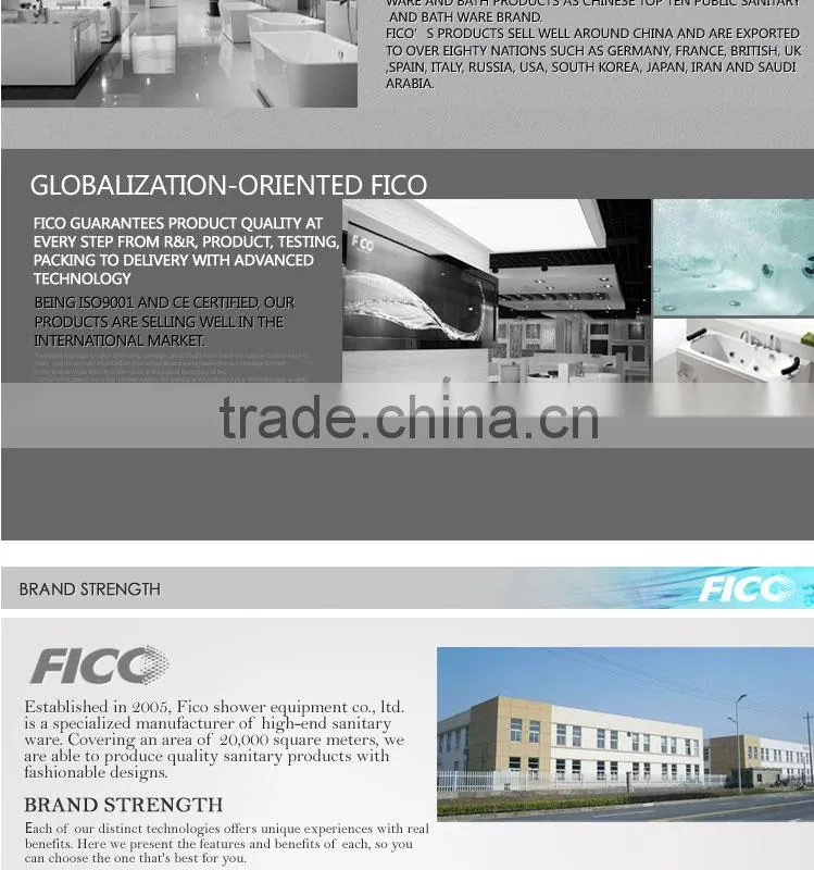 Fico new arrival FC-111, steamroom