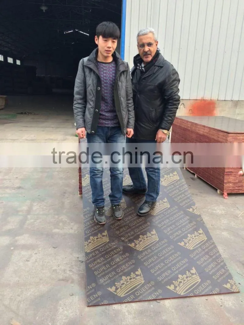the best price film faced plywood/marine plywood/ formwork plywood manufacturer