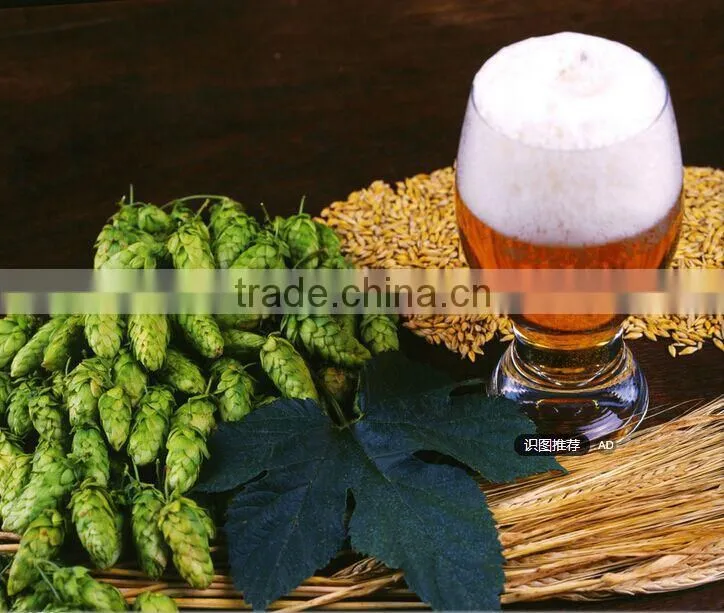 Alibaba hot sale high quality factory directly supply industrial brewing equipment for sale