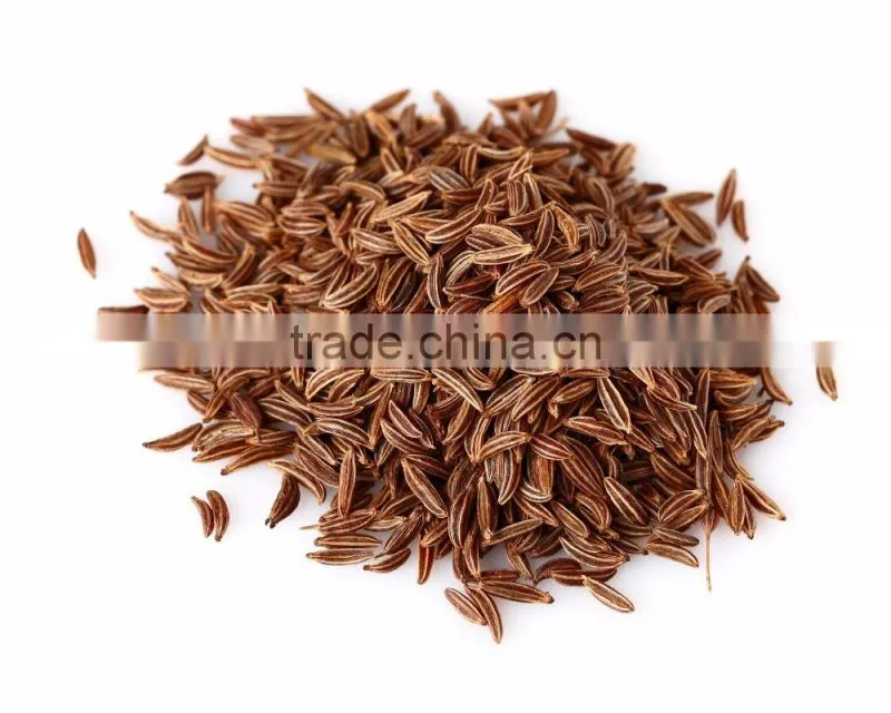 CARAWAY ESSENTIAL OIL