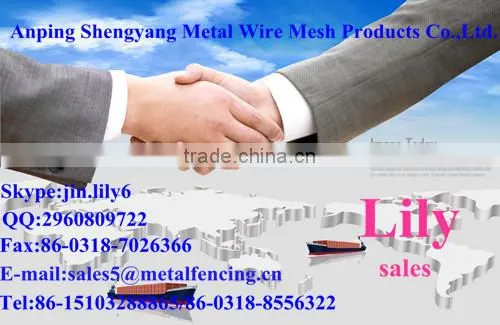 Hot sell Iron welded wire mesh panels for constructions(manufacturer)