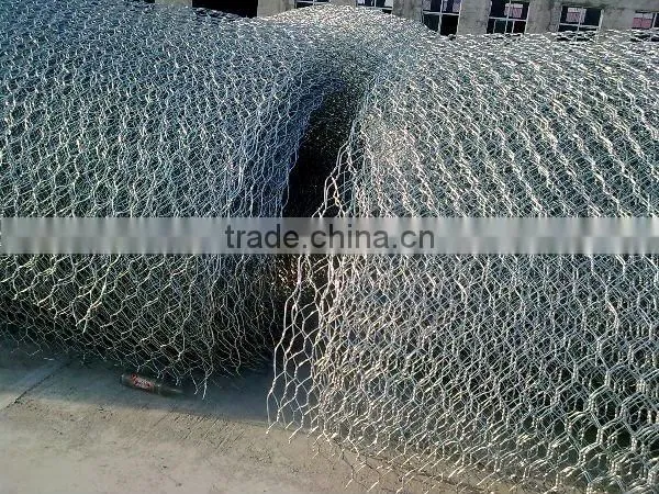 hexagonal wire mesh