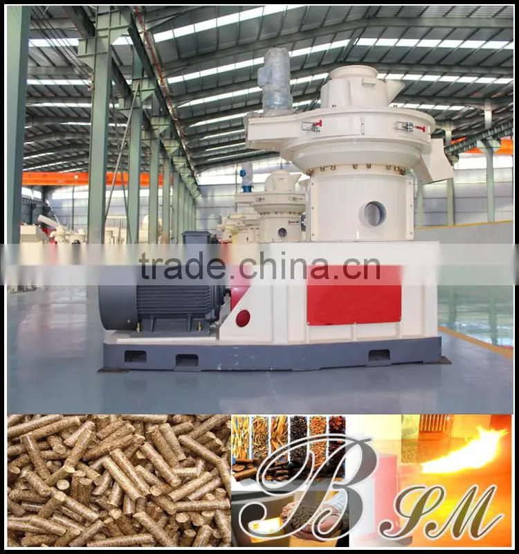 China top quality high efficiency biomass wood pellet making plant
