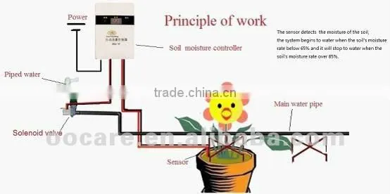 soil moisture sensor testing and Smart automatic garden irrigate