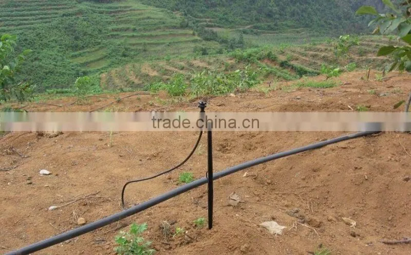 Fruit tree irrigation system