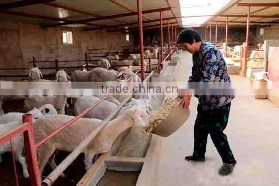 High quality motor operated chaff cutter Kenya