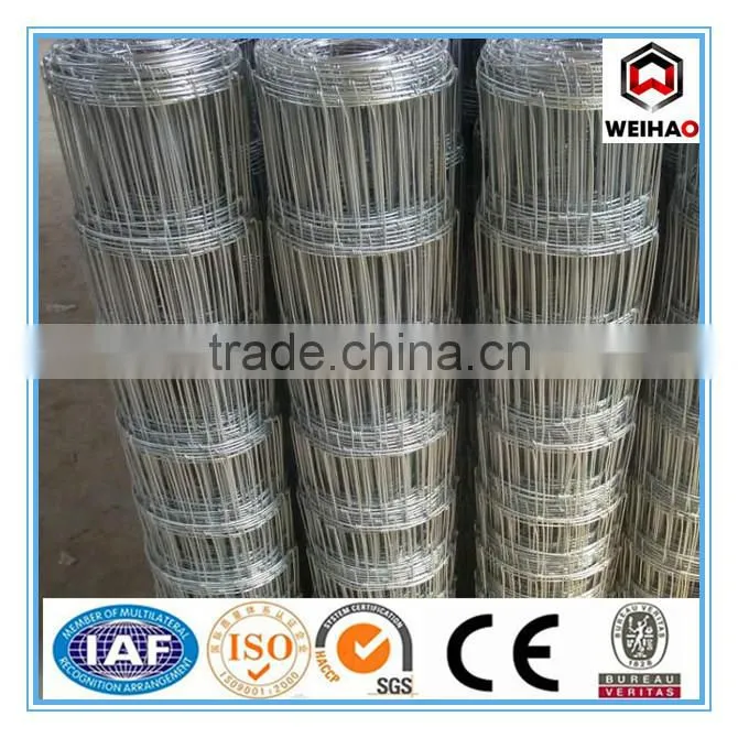 High Quality Galvanized Calf Cattle Fence
