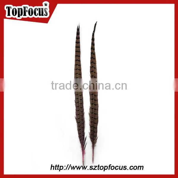 High Quality for Showgirl Carnival Costume ringneck Tail Pheasant Feathers