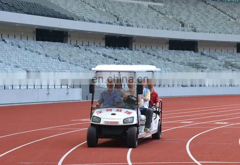 Hot Sale Electric Car 48V Brushless Motor Electric Vehicles
