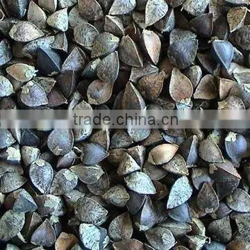 Organic buckwheat