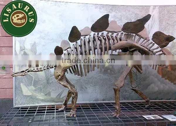 JLDF-1114 Science Museum Dinosaur Skeleton Model