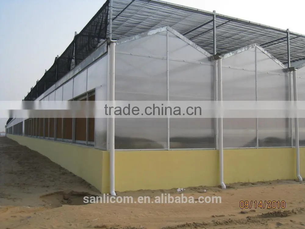 8mm Greenhouse Polycarbonate Sheet