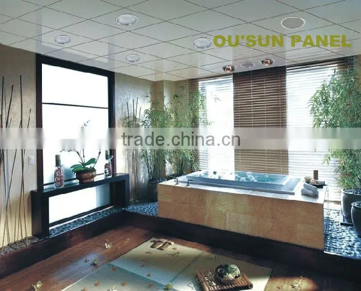 2012 Haining The Newest PVC Plastic Ceiling Panel