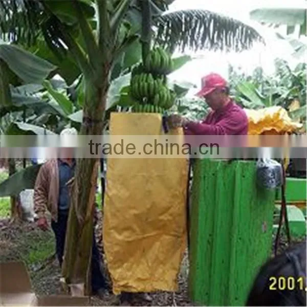 Banana protection bags/growing bags for fruit