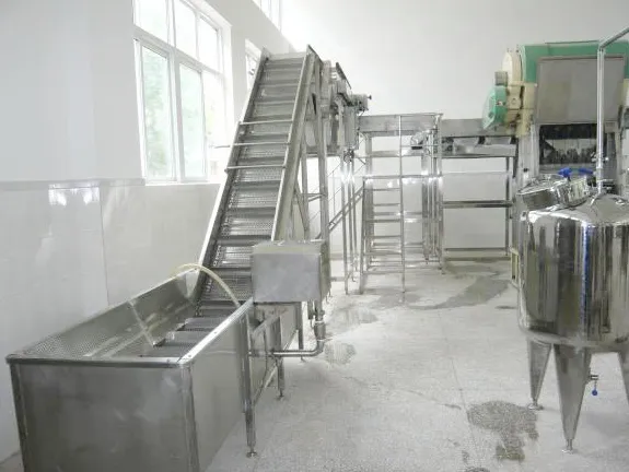 Automatic Carrot Juice PUREE PASTE Production Line