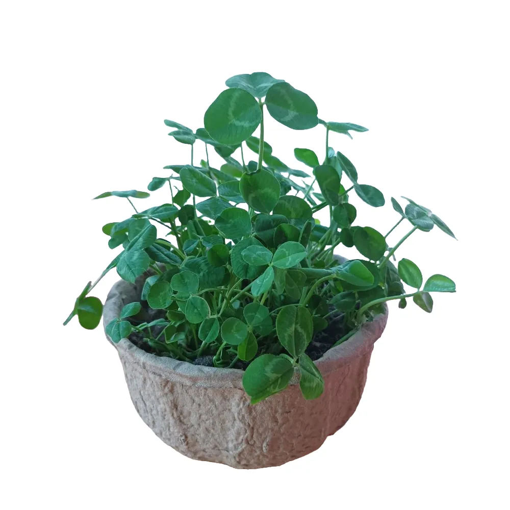 Paper-mache-molded-fiber-flower-pot