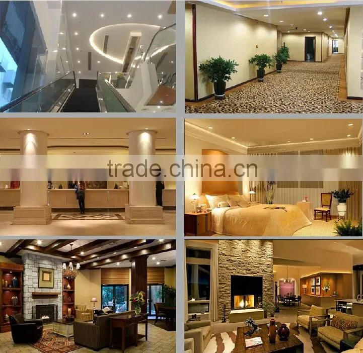 70w high quality shenzhen recessing led light downlight