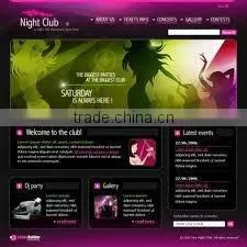 Professional B2B Ads Best Platform Website Design
