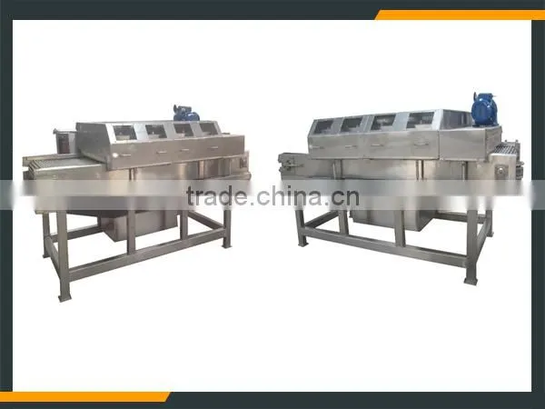Leader stainless steel longan fruit processing line with CE & ISO
