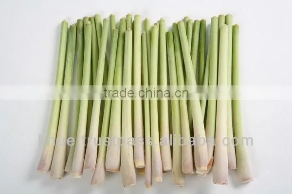Fresh Lemongrass