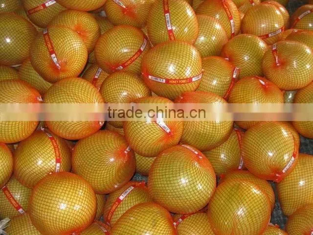 New Crop Grade A fresh sweet green pomelo price