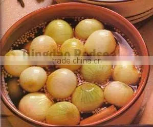 Pickled Onions in brine