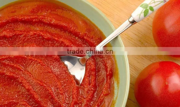 2016 New products canned tomato paste with premium grade