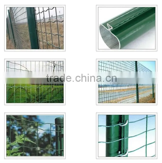Euro Welded Fence