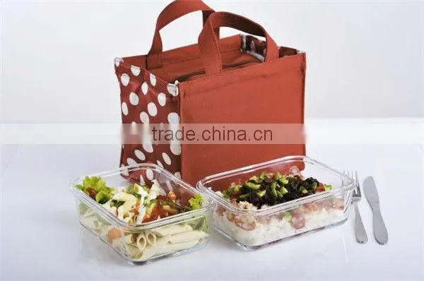 Reusable Picnic Glass Food Containers Set