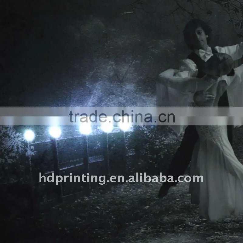 LED wedding pictures