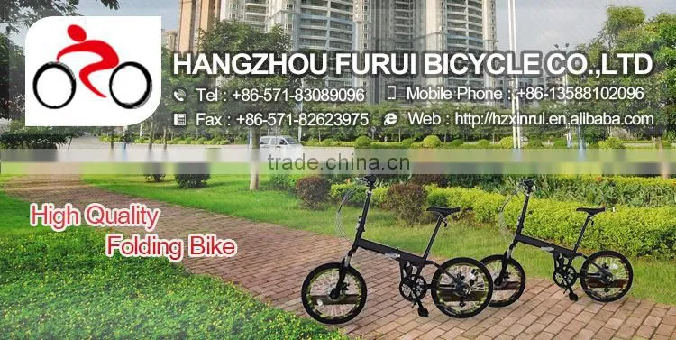 Alloy 6 speed alloy frame carbon folding bike