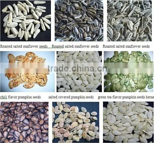 Roasted Salted Shin Skin Pumpkin seeds