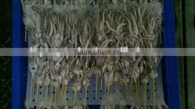 frozen barbecue squid