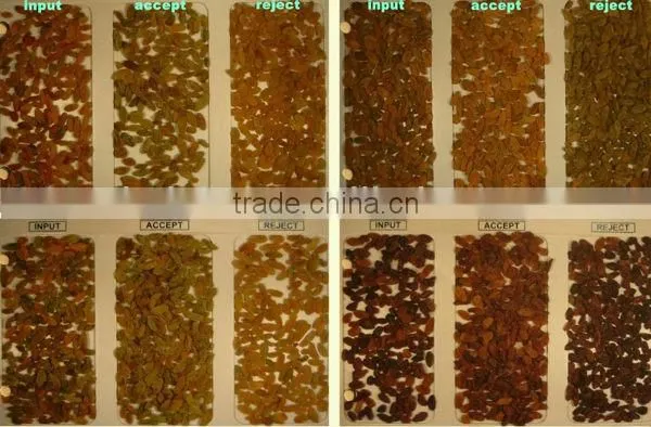 Low price excellent quality High output 384 Channels CE certificated Black currant ccd color sorter machine