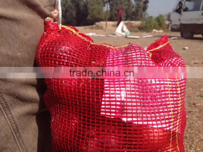 super quality grade a egyptian onions
