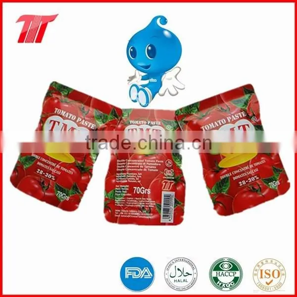 70g Sachet Tomato Paste from China Company