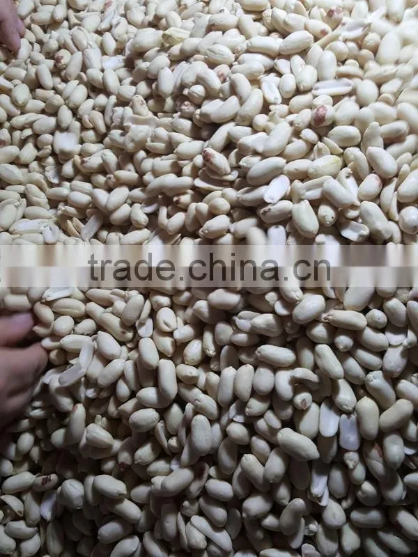 new crop blanched peanut kernel