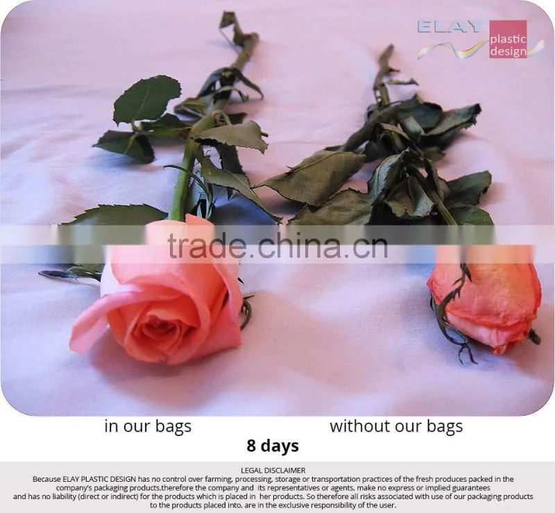 Modified atmosphere date fruits bag