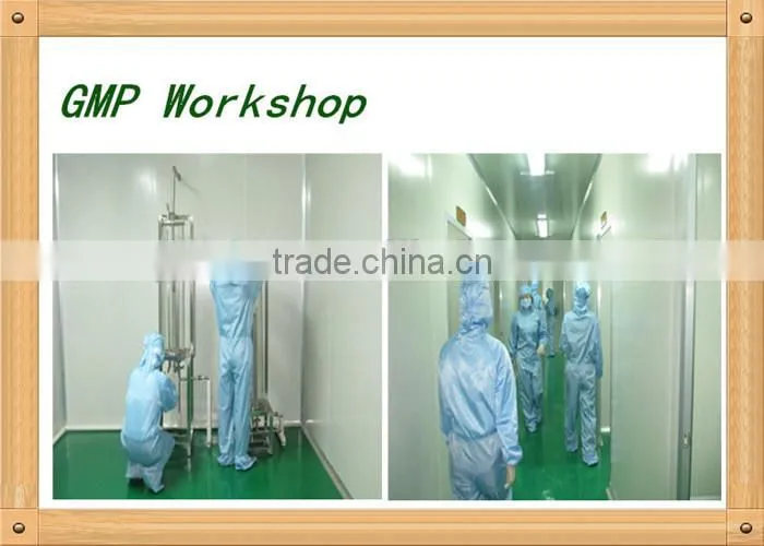 Pharmacal grade Natural post pine oil with high quality for athletes foot treatment