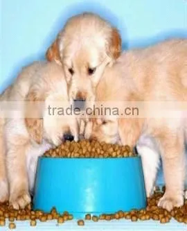 stainless steel wideout put automatically dog food machine