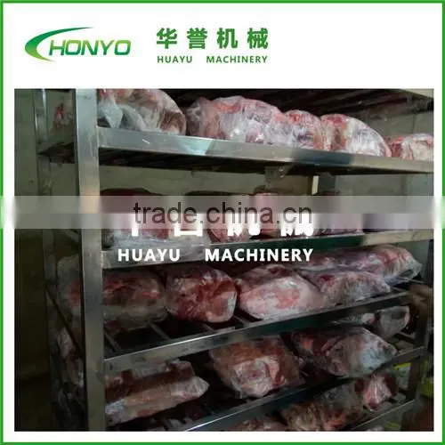 import australia beef thawing machine equipment