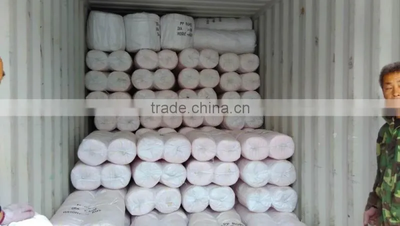 2016 best quanlity 2016 China PP danline rope,PP rope,PP color rope rolls