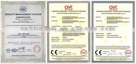 Chinese Diesel Engine K4100P with CE/ISO certificated