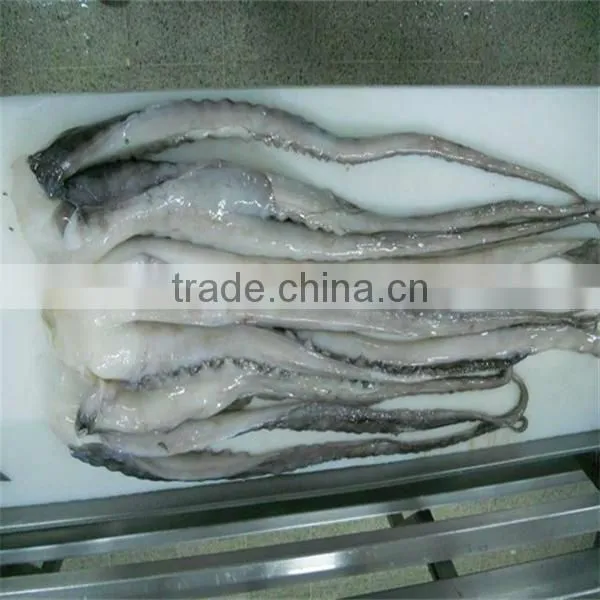seafood and frozen cooked giant squid tentacle