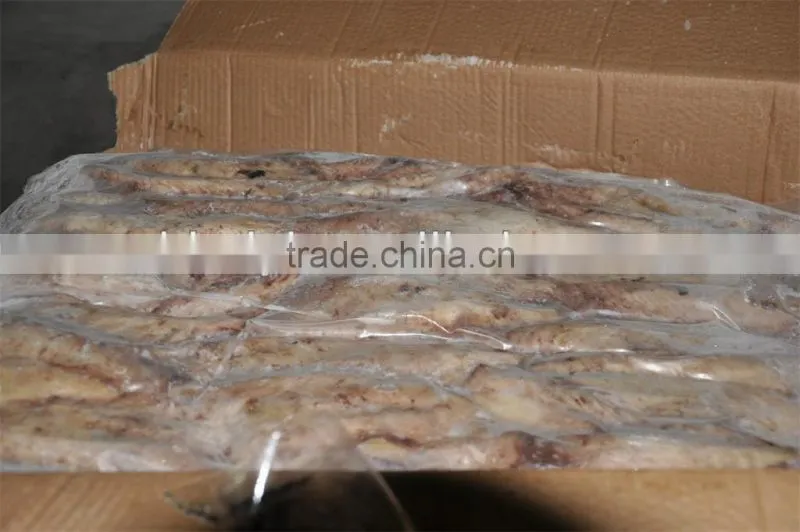 Frozen bonito tuna loin (sarda sarda)