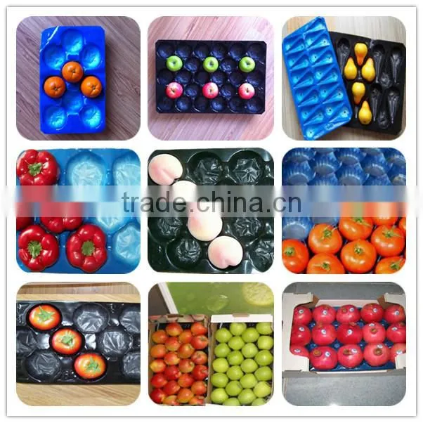 Food Packaging Container