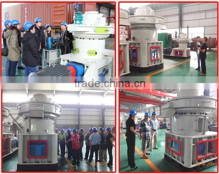2.5-3ton/h capacity wood pelletizing machine (CE)