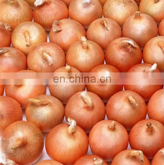 Automatic Onion peeling and root cutting machine