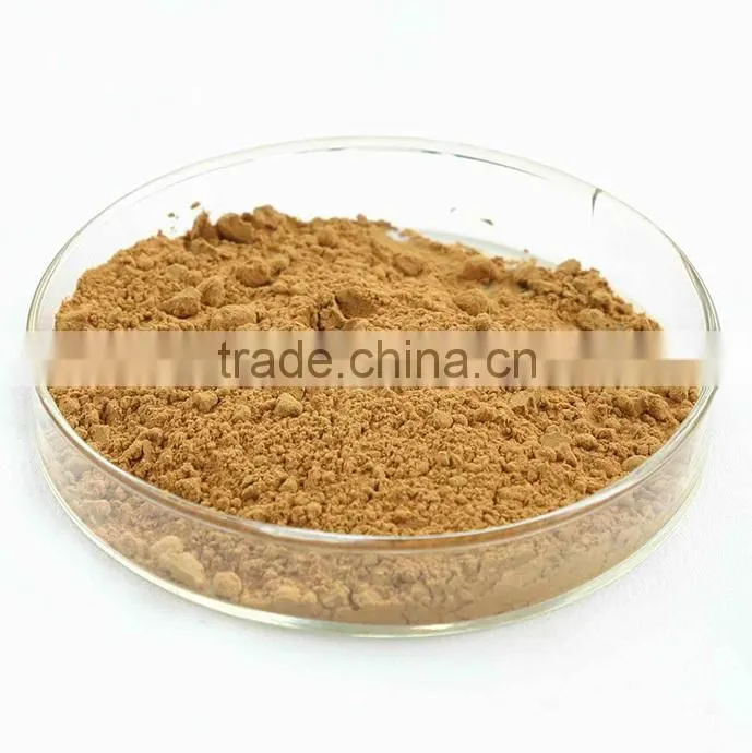 2015 Manufacturer Pure Natural High Quality Ginkgo Biloba Extract, Ginkgo Biloba Extract Powder, Ginkgo Biloba Leaf Extract